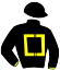 Noire, carré jaune, logo devant et dans le dos, m. noires, pogn jaun, t. no