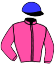 4 - Miss Pimpernel
