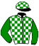 11 - Elfo Breed