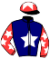 14 - Dutch Rose