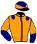 13 - Nuance Bruère