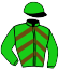 12 - Johnson's Cat