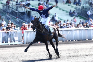 Prix de Cornulier