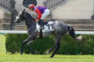 Prix du Havre