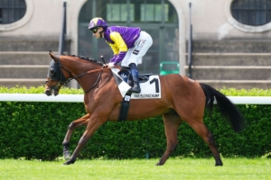 Prix de la Villa Lucie