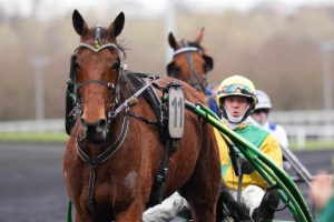 Prix Ludovica