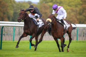 Grand Handicap des Milers