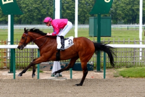 Grand Handicap de la Piste Fibrée