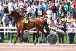 Grand Prix du Conseil Municipal