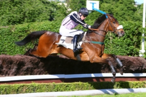 Prix de Beaune