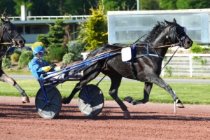 Prix Constellation