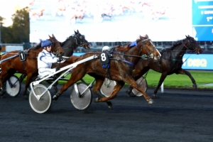 Prix de Saint-Pierre-la-Cour