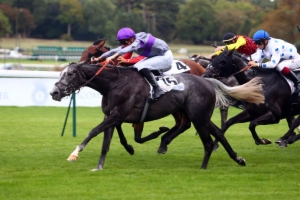 Prix des Quinze-Vingts
