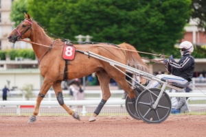 Grand National du Trot