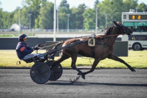 Grand National du Trot