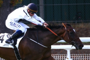 Prix Lyphard