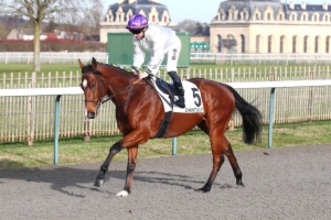 Prix du Volcan