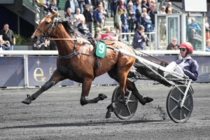 Prix Journal Week-End (Prix de New York)