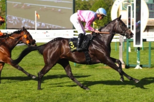 The Aga Khan Studs Prix François André