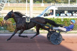 Prix du Crédit Agricole Nord-Est