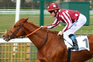 Prix Teddy