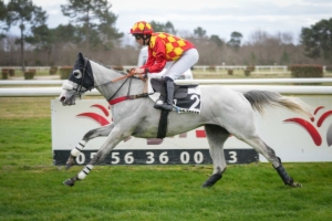 Prix le Parisien (Prix le Guales de Mézaubran)