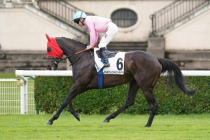 Prix du Château de Pierrefonds