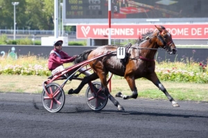 Prix de la Semaine Internationale