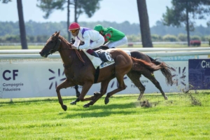 Prix des Greniers à Sel