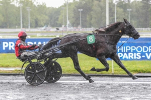 Prix Thémis