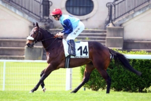 Prix du Bel Air