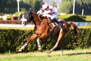 Prix André Adèle