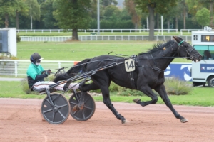 Prix de Saint-Georges de Didonne
