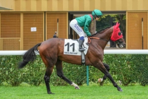 Prix Carrus