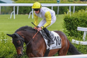 Prix de l'Elevage