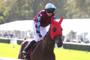 Prix du Manoir de la Salamandre