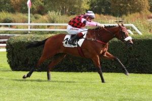 Prix Grandlieu