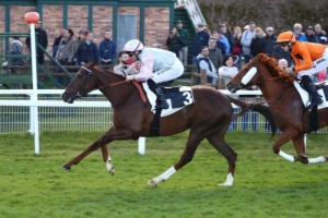 Prix Hubert de Catheu