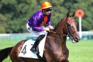 Prix Race And Care