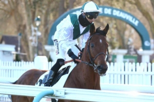 Prix Louis Brunet