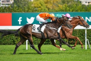 Handicap d'Angers Loire Métropole