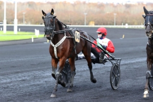 Prix de l'Hippodrome d'Angers-Ecouflant
