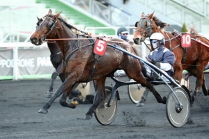 Prix de la Semaine Internationale