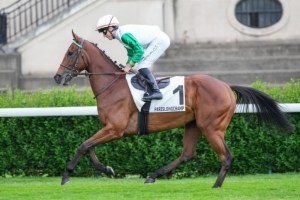 Grand Handicap de Lamorlaye Longines