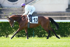 Prix de l'Orangerie