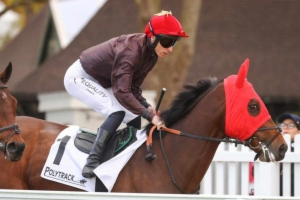 Prix Hubert de Catheu