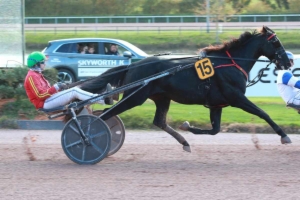 Prix V And B