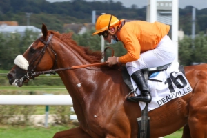 Handicap de Marseille