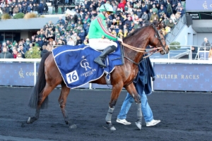 Prix de l'Ile-de-France - Cornulier Races