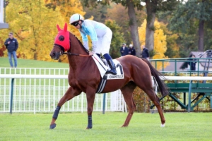 Prix de Roissy